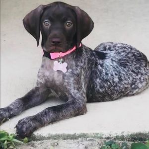 Meet your Posher, Edward